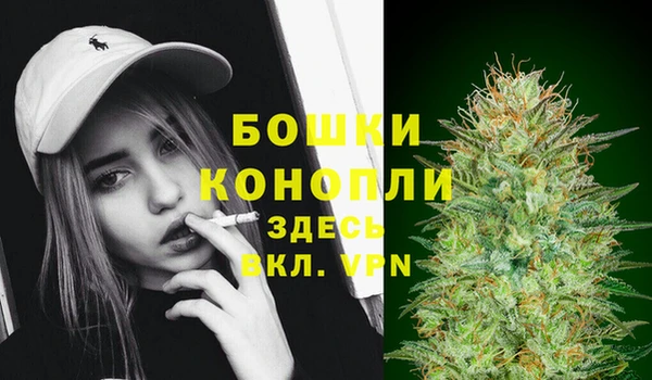 крисы Арсеньев
