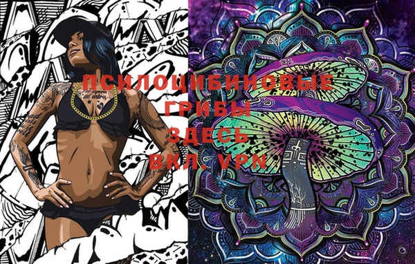 марки lsd Ладушкин