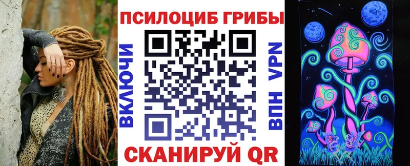 Галлюциногенные грибы Psilocybine cubensis  Михайловск 
